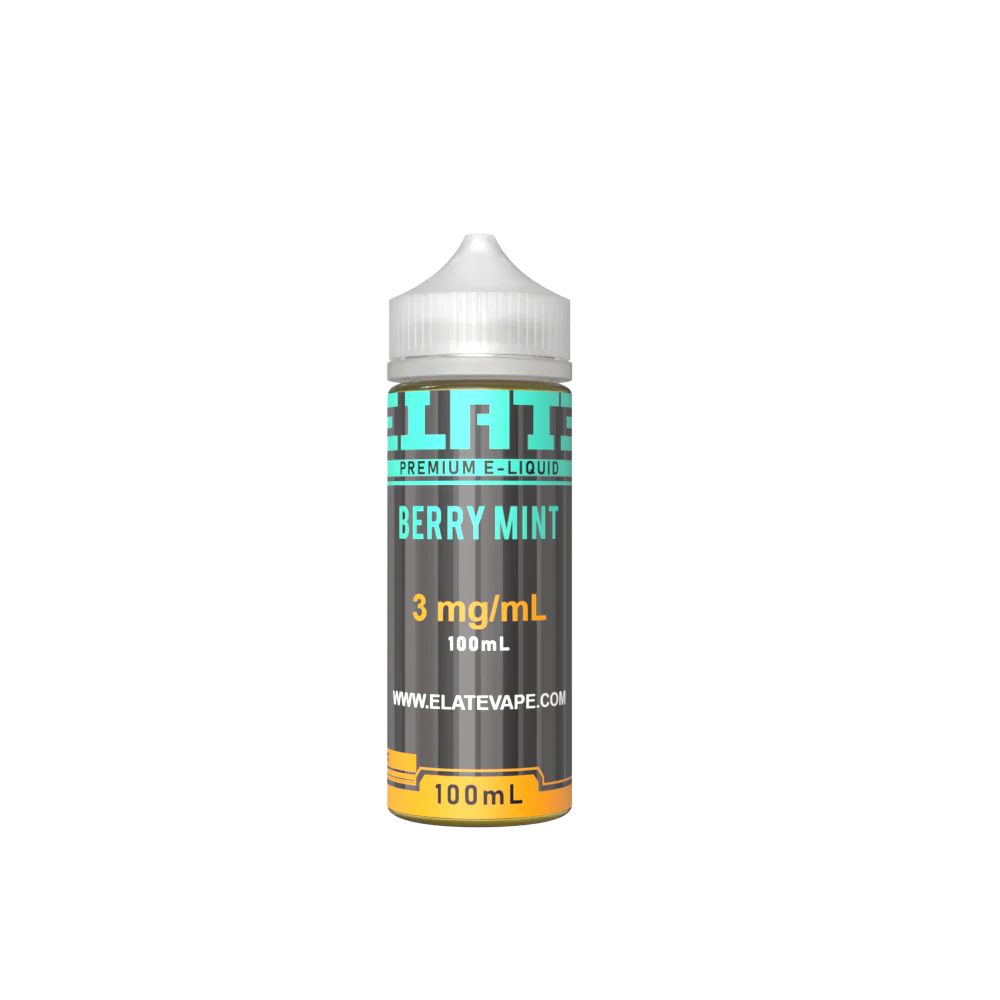Berry Mint E-liquid 100ml - Image 3