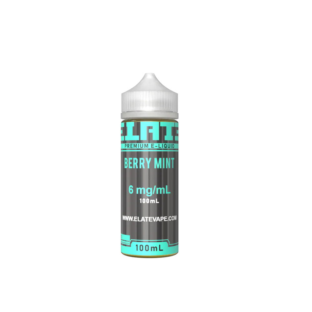 Berry Mint E-liquid 100ml - Image 4